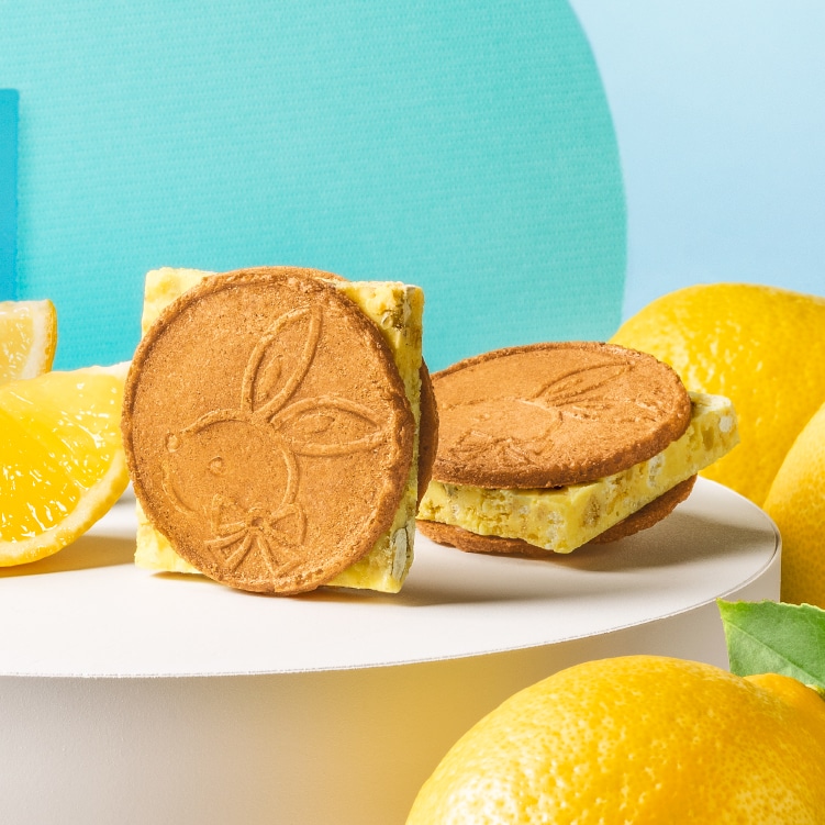 鎌倉レモンサンドだょ　5個入