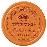 宮古島マンゴー