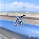 【柳井縞】〈山口県〉