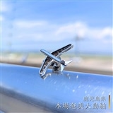 【本場奄美大島紬】〈鹿児島県〉