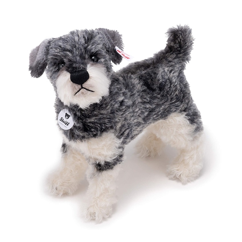 日本限定】シュナウザー: HANEDA Shopping | HANEDA Shopping 羽田空港