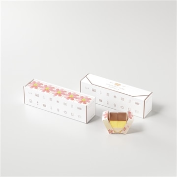 フクサヤキューブ　ギフトセット（コスモスパッケージ）　5個入