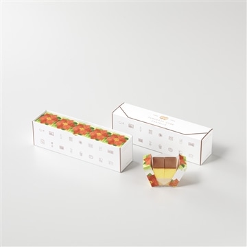 フクサヤキューブ　ギフトセット（ポインセチアパッケージ）　5個入