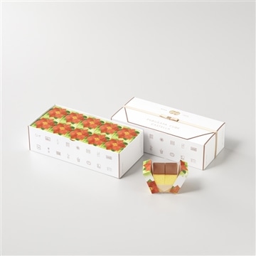 フクサヤキューブ　ギフトセット（ポインセチアパッケージ）　10個入