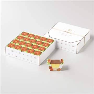 フクサヤキューブ　ギフトセット（ポインセチアパッケージ）　20個入