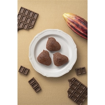 ひよ子ショコラフィナンシェ　4個入