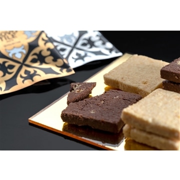 ノボタイル　12枚入