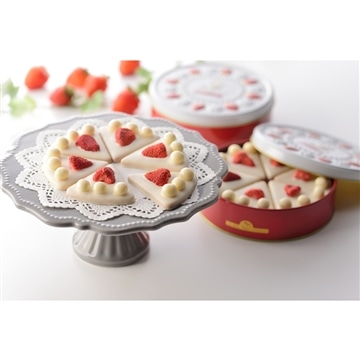 ケーキサブレ缶 ホワイト　15個入