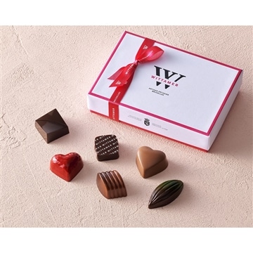 ショコラ・ド・ヴィタメール　6個入