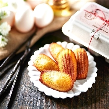 プティ・マドレーヌ〈バニラ〉(5個入)