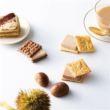 ベイクドショコラ　5個入〈ネイビー〉