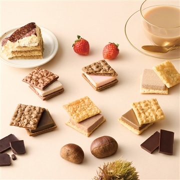 ベイクドショコラ　10個入〈ブラウン〉