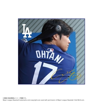 大谷翔平マイクロファイバーハンドタオル