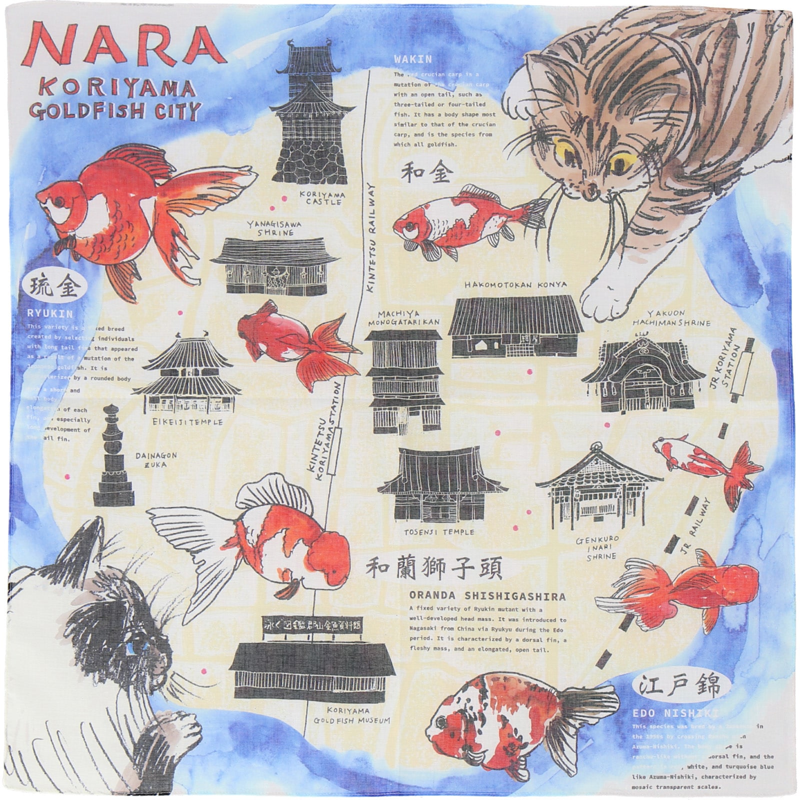 川辺　47 ﾊﾝｶﾁ ﾅﾗ ｷﾝｷﾞｮ