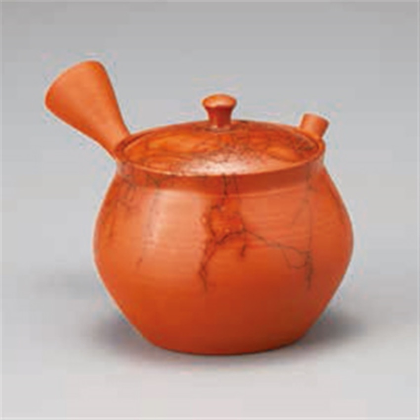 常滑焼 玉光　朱泥ツバ丸藻掛急須