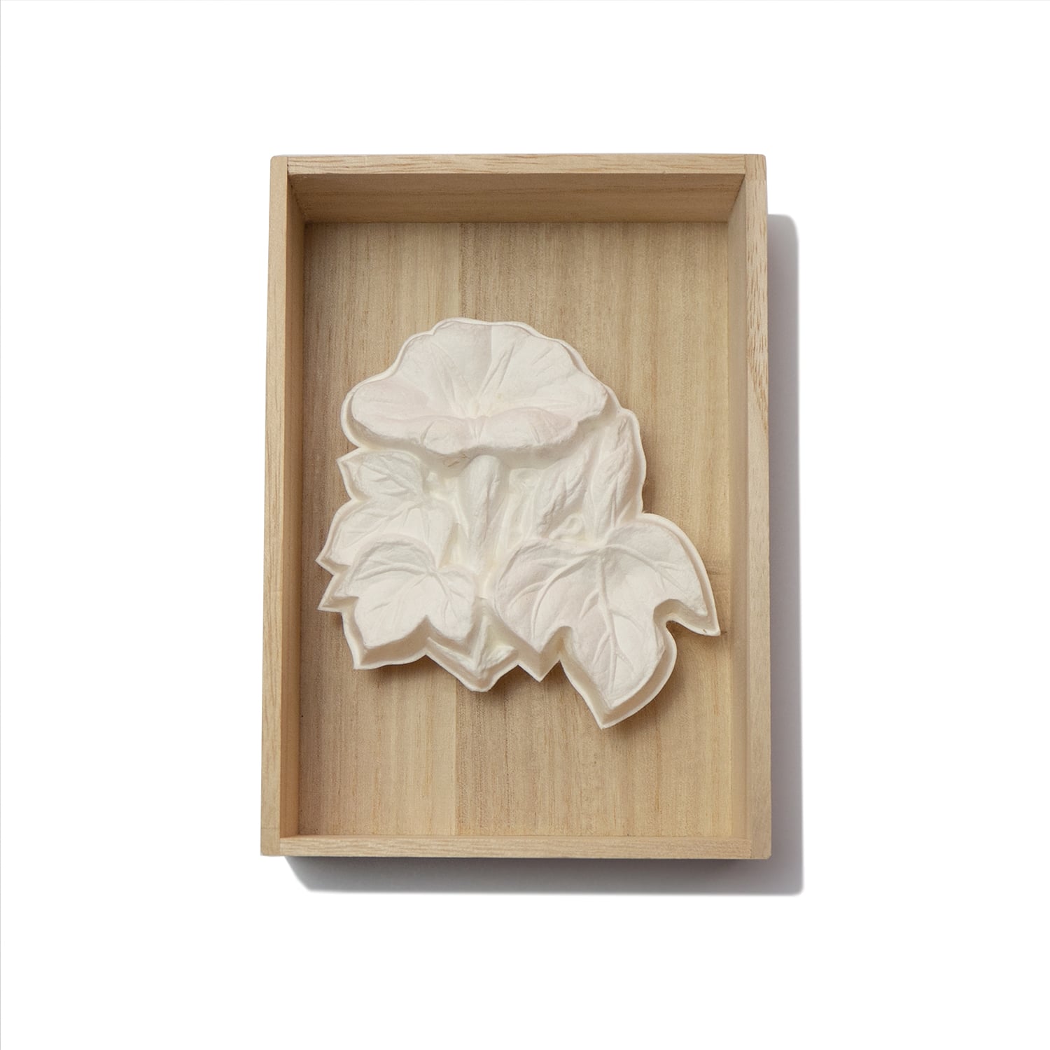 永田哲也　和菓紙三昧 朝顔