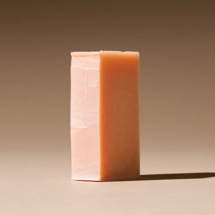 SHAMPOO はちみつ&ツバキ(140g)