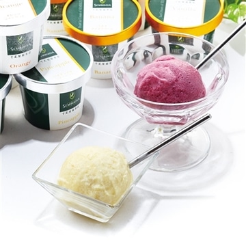 シャーベット・アイスクリーム　12個入