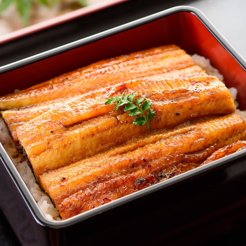 浜名湖謹製うなぎ三昧