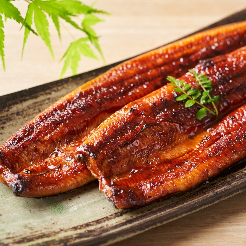 浜松・浜名湖うなぎ蒲焼２人前（長焼）