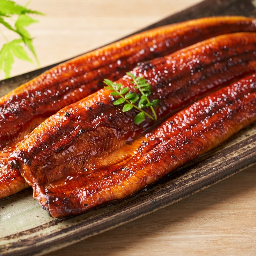 浜松・浜名湖うなぎ蒲焼3人前（長焼）