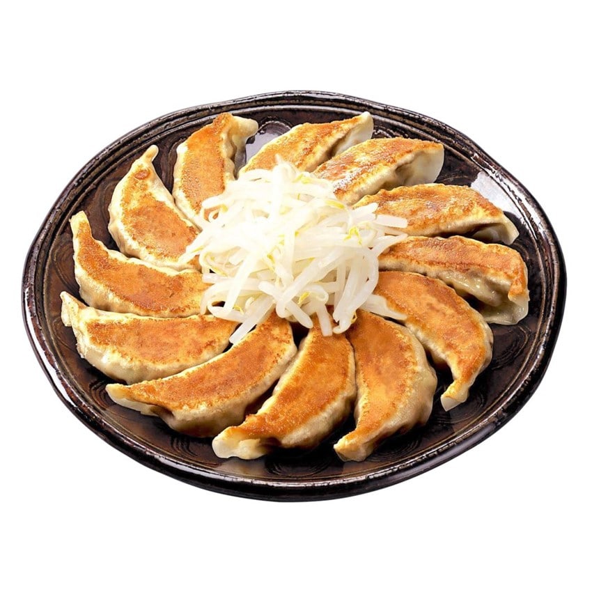 〈静岡 ｢五味八珍｣〉浜松餃子4袋セット