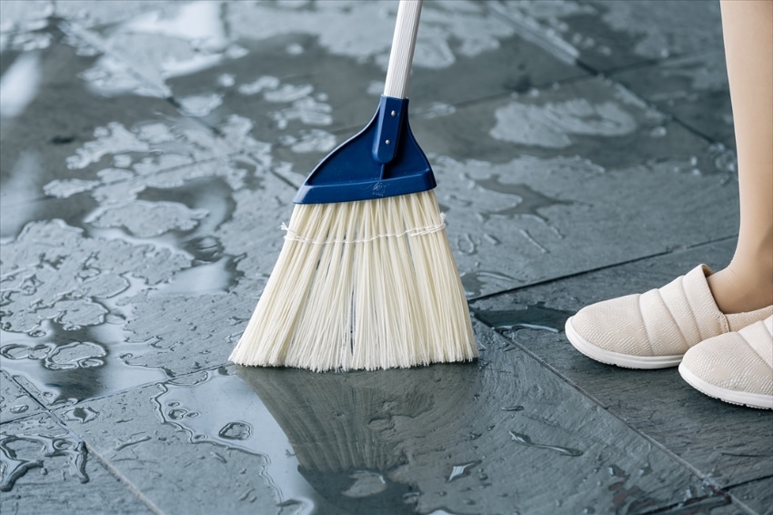 YSニワホウキニューブルロンS