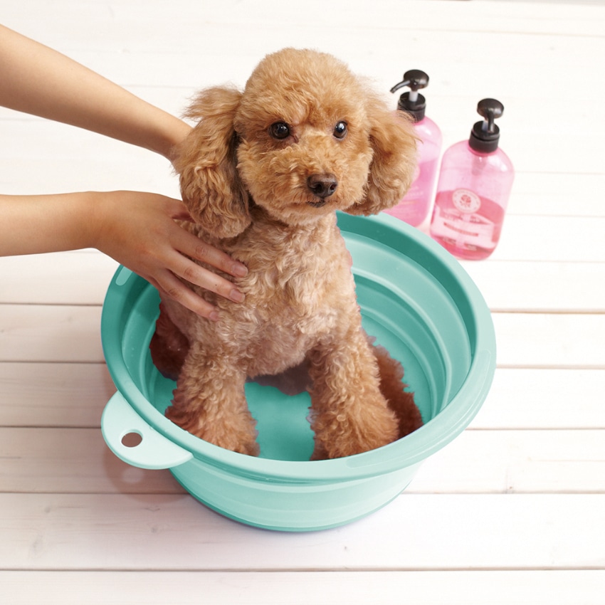 ソフトタブ ミントグリーン ミントグリーン