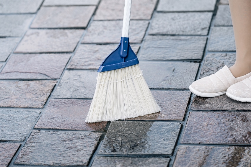 YSニワホウキニューブルロンS