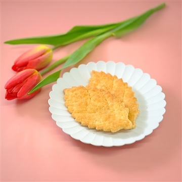 ヴィーガンリーフパイ 5枚セット