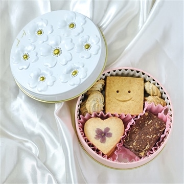 セレクトヴィーガンクッキー缶 グルテンフリー【ハラール認証】