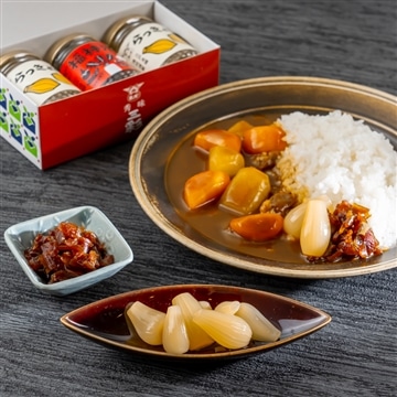 羽田空港セレクト カレーのお供セット