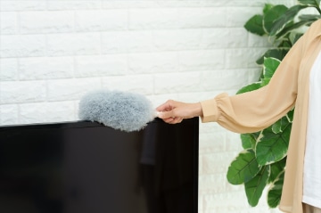 バスボンくん ホコリガード払い