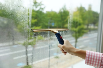 プロテック グラススクイジー真鍮グリップ 350