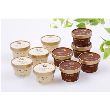 ICE-10 アイスクリーム詰め合わせ 10個入